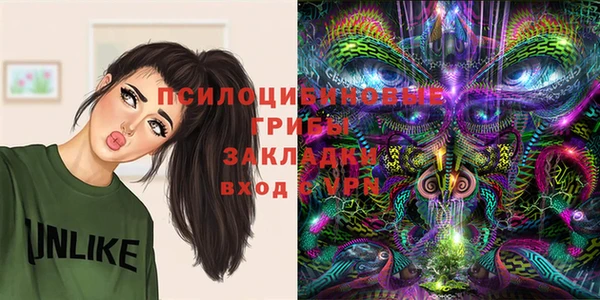 хмурый Бородино