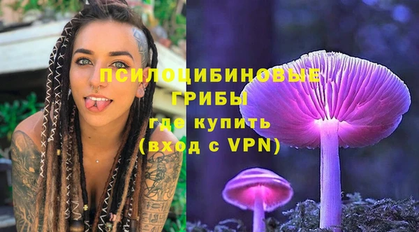 хмурый Бородино