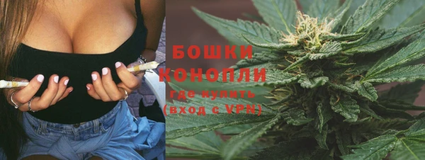 хмурый Бородино